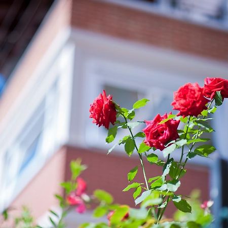 B&B Il Pettirosso Malonno Eksteriør billede