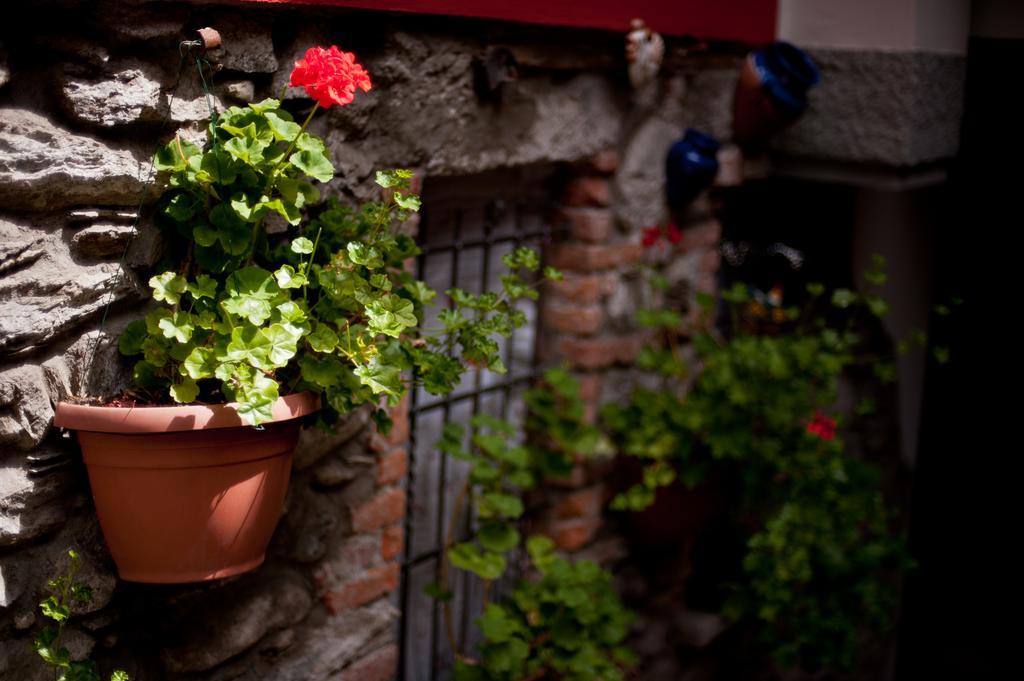 B&B Il Pettirosso Malonno Eksteriør billede